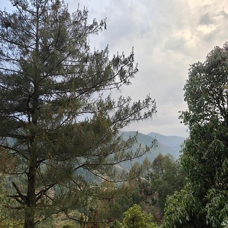 Himwanderer Camps & Cottages Pangot Nainital Exteriér fotografie