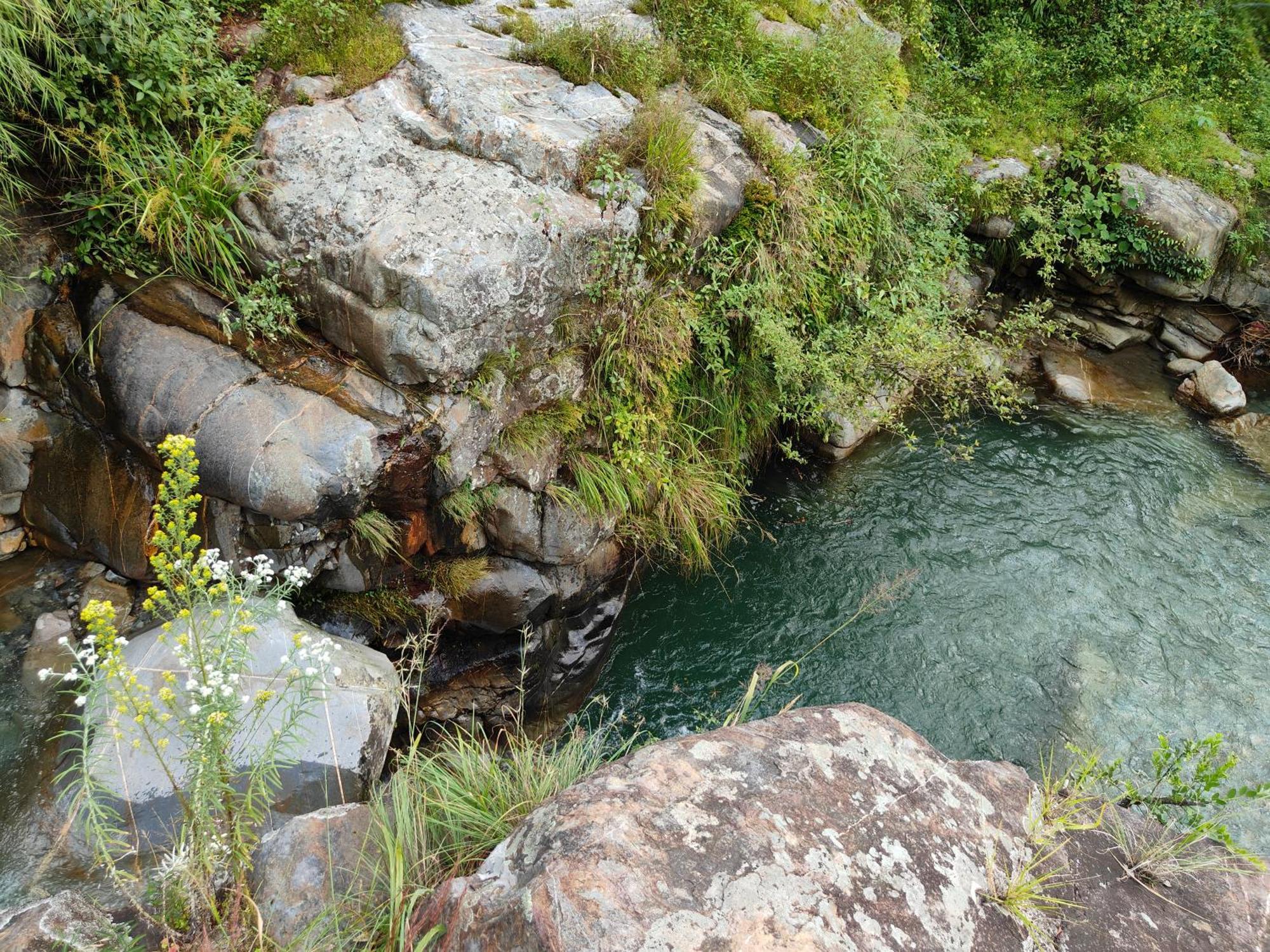 Himwanderer Camps & Cottages Pangot Nainital Exteriér fotografie