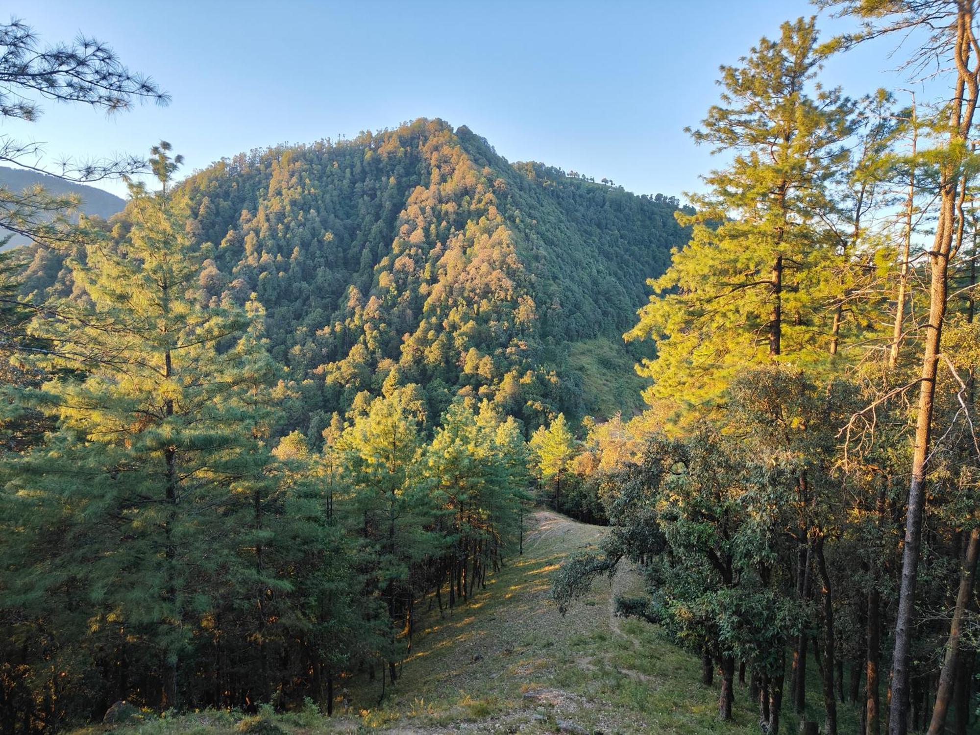 Himwanderer Camps & Cottages Pangot Nainital Exteriér fotografie