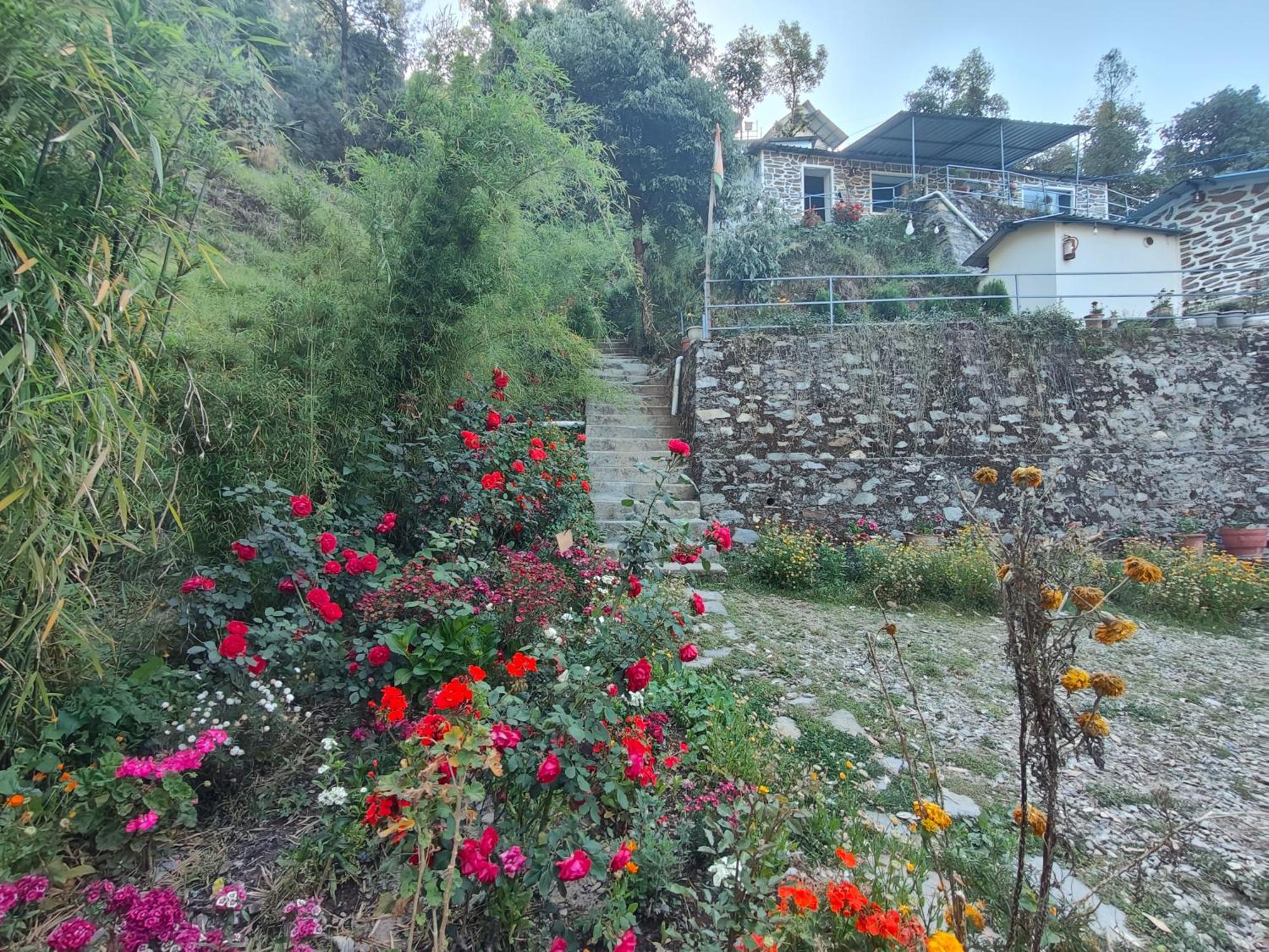 Himwanderer Camps & Cottages Pangot Nainital Exteriér fotografie