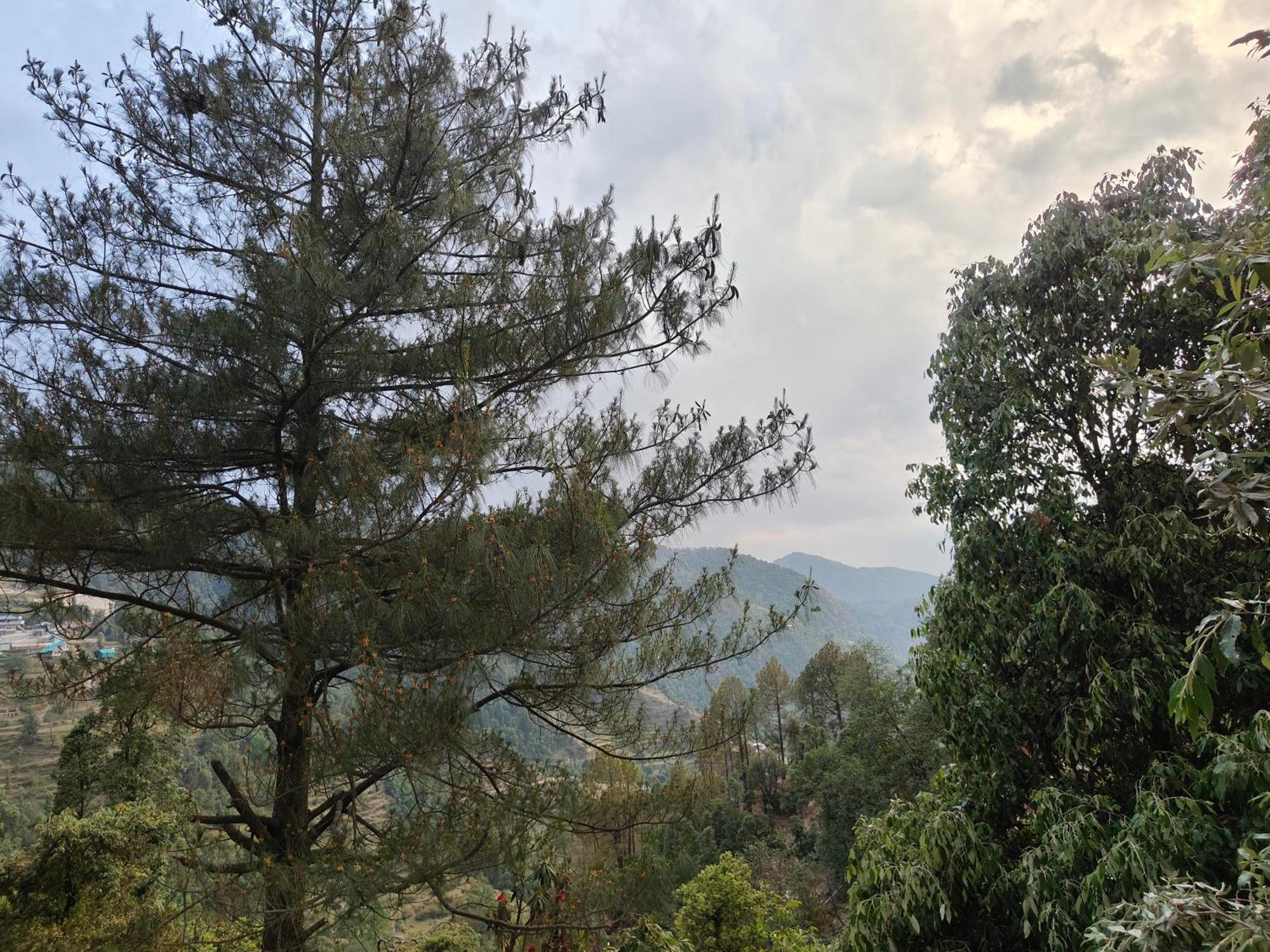 Himwanderer Camps & Cottages Pangot Nainital Exteriér fotografie